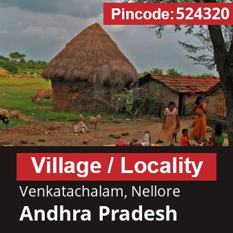 Pincode 524320 Village Venkatachalam, Nellore, Andhra Pradesh