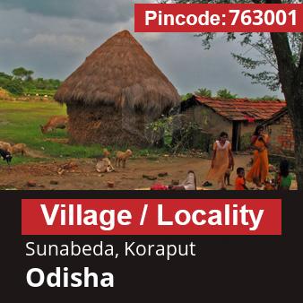 Pincode 763001 Village Sunabeda, Koraput, Odisha