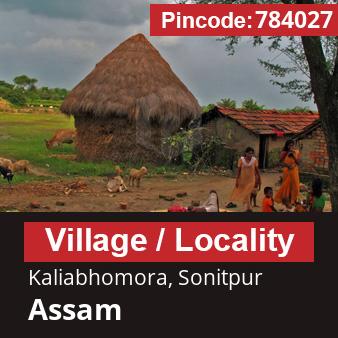 Pincode 784027 Village Kaliabhomora, Sonitpur, Assam