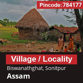 Pincode 784177 Village Biswanathghat, Sonitpur, Assam