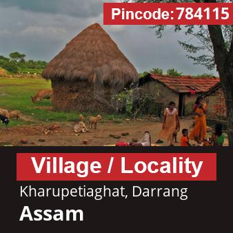 Pincode 784115 Village Kharupetiaghat, Darrang, Assam