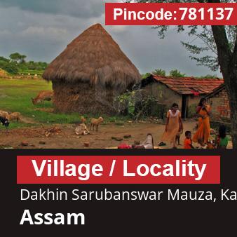 Pincode 781137 Village Dakhin Sarubanswar Mauza, Kamrup, Assam