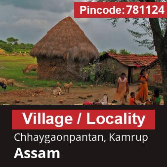 Pincode 781124 Village Chhaygaonpantan, Kamrup, Assam