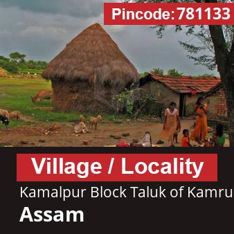 Pincode 781133 Village Kamalpur Block Taluk of Kamrup, Kamrup, Assam