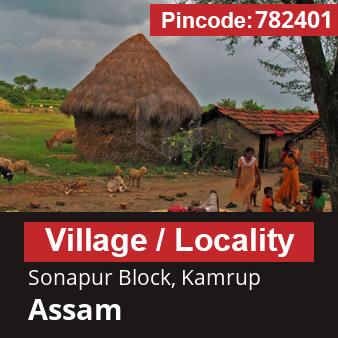 Pincode 782401 Village Sonapur Block, Kamrup, Assam