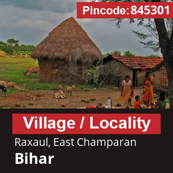 Pincode 845301 Village Raxaul, East Champaran, Bihar