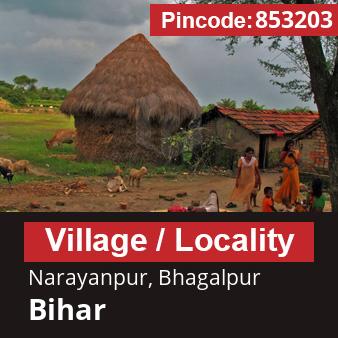 Pincode 853203 Village Narayanpur, Bhagalpur, Bihar