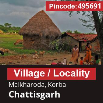 Pincode 495691 Village Malkharoda, Korba, Chattisgarh