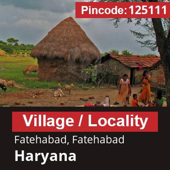 Pincode 125111 Village Fatehabad, Fatehabad, Haryana