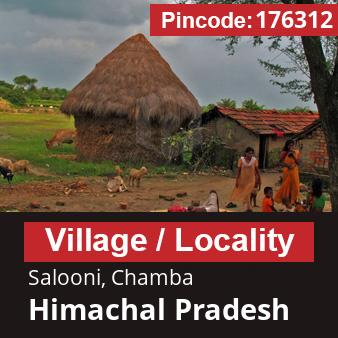 Pincode 176312 Village Salooni, Chamba, Himachal Pradesh