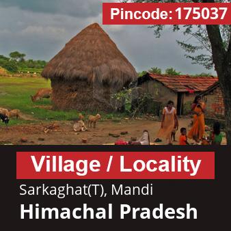 Pincode 175037 Village Sarkaghat(T), Mandi, Himachal Pradesh