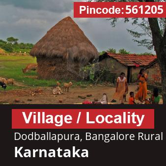 Pincode 561205 Village Dodballapura, Bangalore Rural, Karnataka