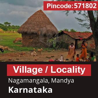 Pincode 571802 Village Nagamangala, Mandya, Karnataka