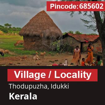 Pincode 685602 Village Thodupuzha, Idukki, Kerala