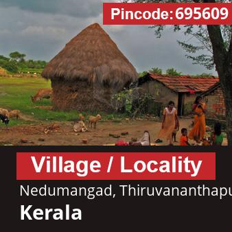 Pincode 695609 Village Nedumangad, Thiruvananthapuram, Kerala