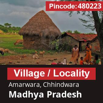 Pincode 480223 Village Amarwara, Chhindwara, Madhya Pradesh