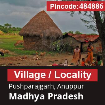 Pincode 484886 Village Pushparajgarh, Anuppur, Madhya Pradesh