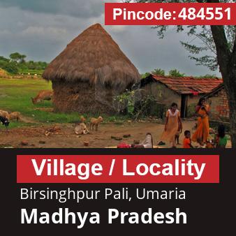 Pincode 484551 Village Birsinghpur Pali, Umaria, Madhya Pradesh