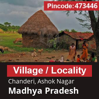 Pincode 473446 Village Chanderi, Ashok Nagar, Madhya Pradesh