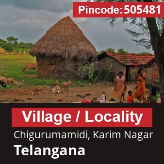 Pincode 505481 Village Chigurumamidi, Karim Nagar, Telangana