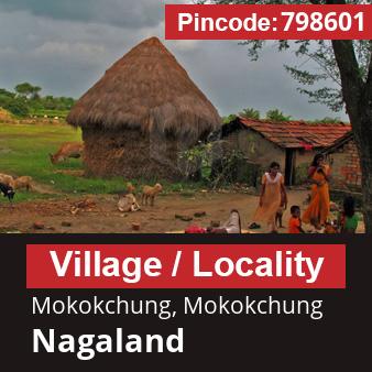 Pincode 798601 Village Mokokchung, Mokokchung, Nagaland