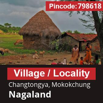 Pincode 798618 Village Changtongya, Mokokchung, Nagaland