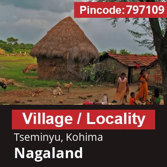 Pincode 797109 Village Tseminyu, Kohima, Nagaland