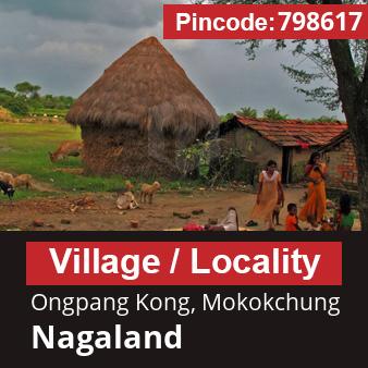 Pincode 798617 Village Ongpang Kong, Mokokchung, Nagaland