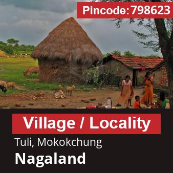 Pincode 798623 Village Tuli, Mokokchung, Nagaland