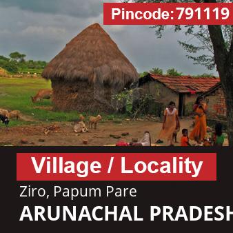 Pincode 791119 Village Ziro, Papum Pare, ARUNACHAL PRADESH